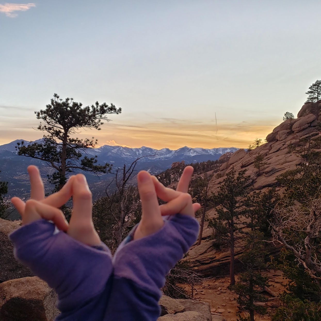 Yoga with Jules Forrister : Bhramara Mudra, or Bee Mudra in Boulder, CO