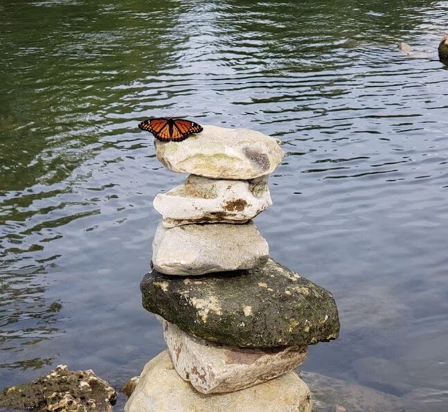 Yoga with Jules Forrister : balance of nature